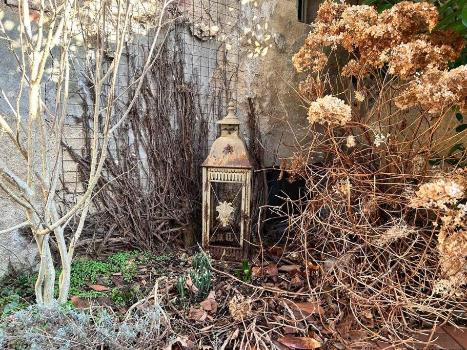 Maisonette-Fewo Fritz Mit Infrarotsauna 그로스쇠나우 외부 사진